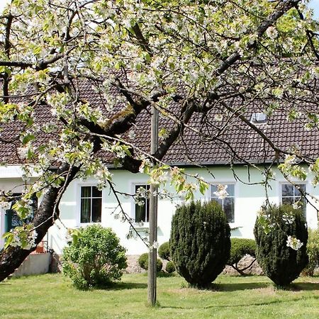 Pension Gestuet Lindenhof Templin Buitenkant foto