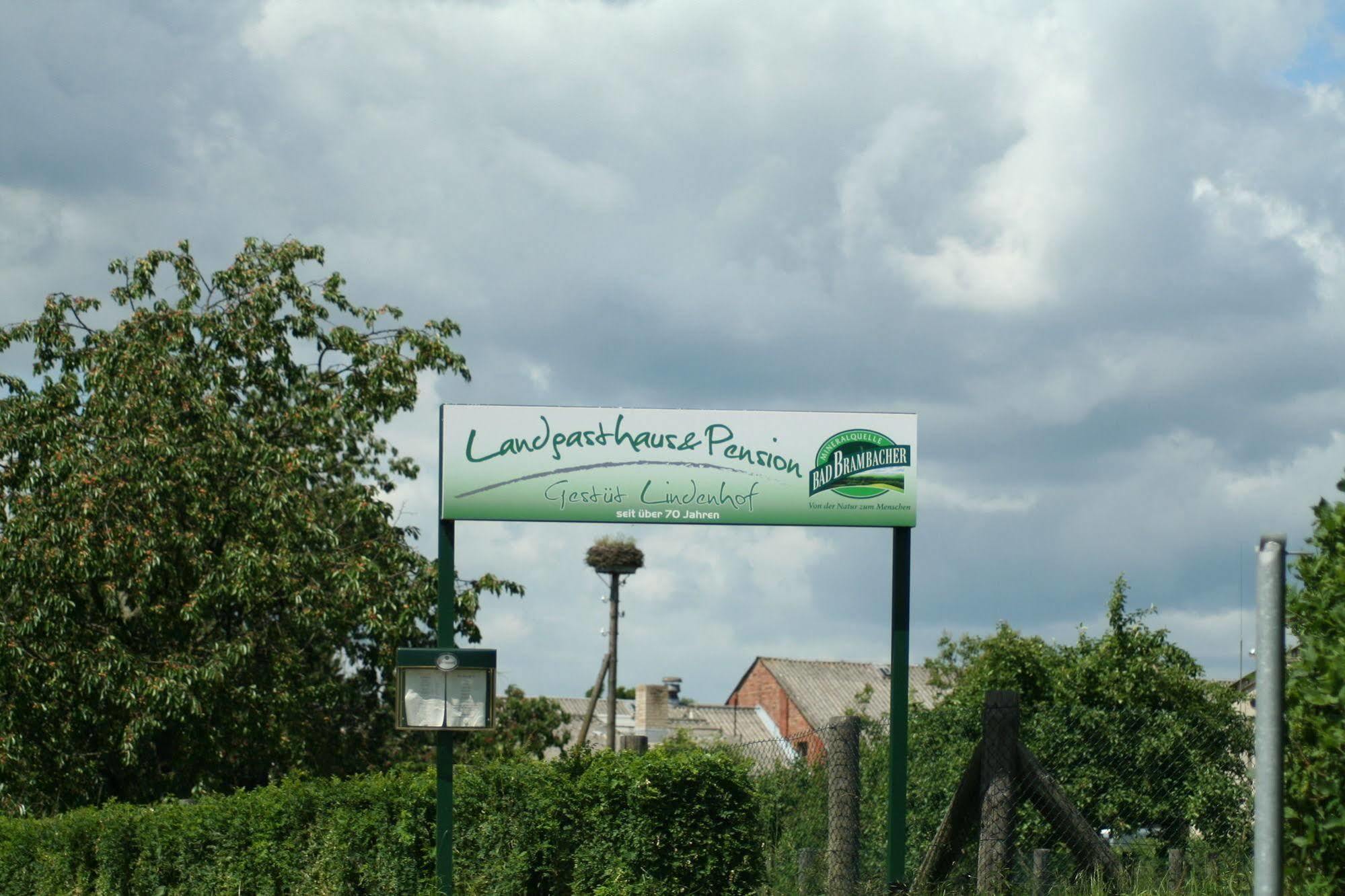 Pension Gestuet Lindenhof Templin Buitenkant foto